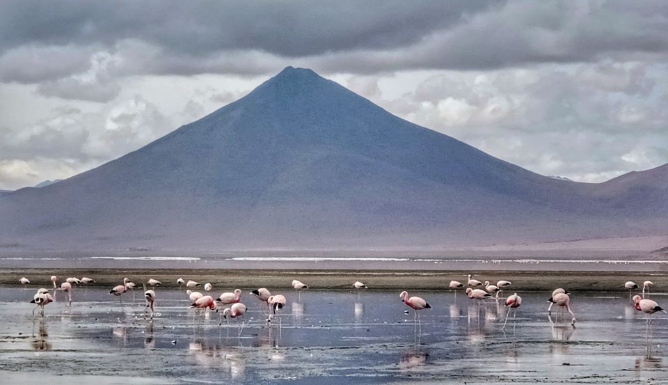 From Uyuni: Private Day Trip Laguna Colorada. - Common questions