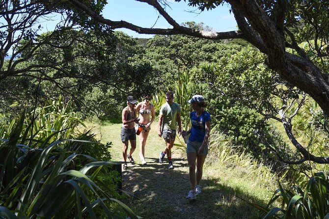 Full-Day Adventure Cruise With Lunch in Bay of Islands - Booking and Reservation Process