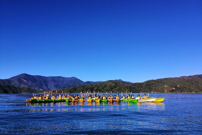 Full Day Guided Sea Kayak Tour From Picton - Cancellation Policy