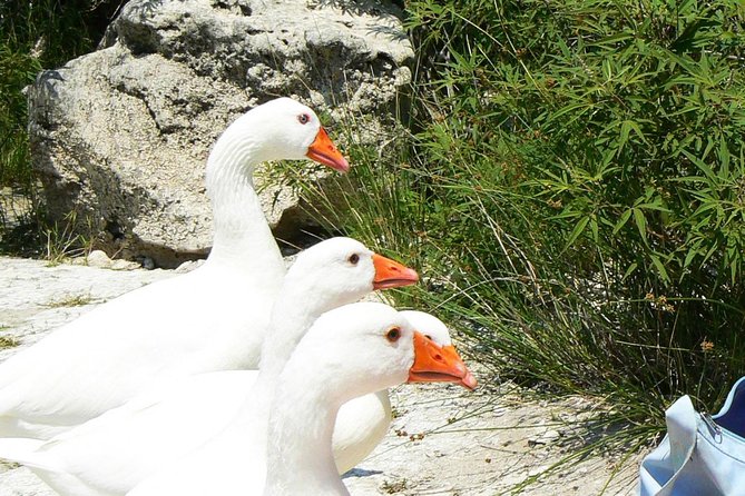 Full-Day Kourna Lake & Argyroupoli Crete Nature From Rethymno - Common questions