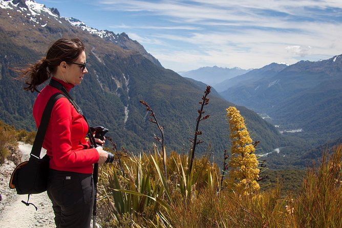 Full-Day Routeburn Track Key Summit Guided Walk From Te Anau - Common questions