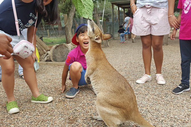 Fully Inclusive Blue Mountains Private Tour Inc Scenic World & Featherdale Entry - Additional Tour Information