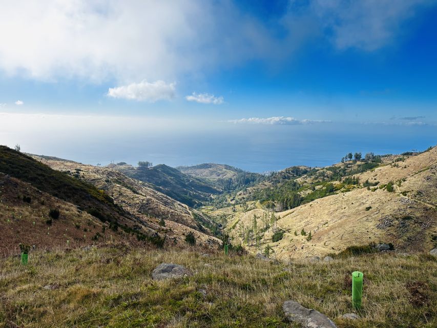 Funchal: East Madeira Island Guided Tour & Laurissilva Walk - Common questions