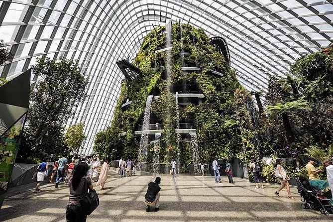 Gardens by the Bay With Both Domes (Small-Group Pickup)  - Singapore - Last Words