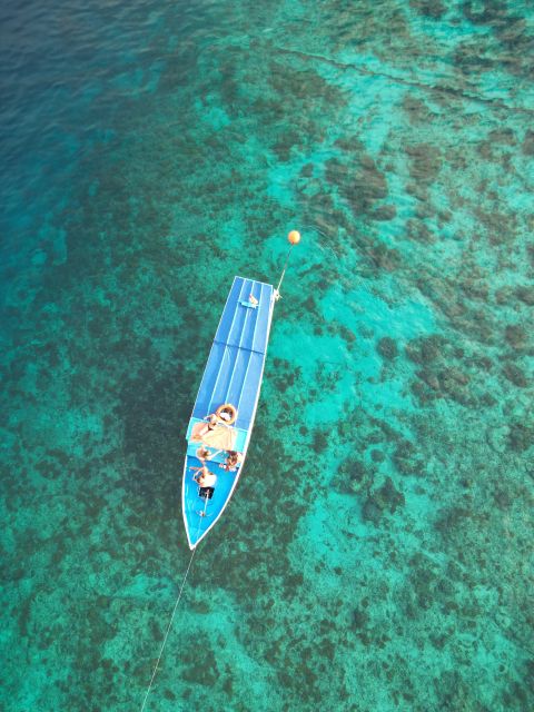 Gili Islands: Private or Shared Snorkeling Boat Trip - Private Vs. Shared Options