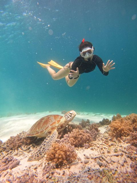 Gili Trawangan: Sunset Snorkeling Trip Gili Islands - Common questions