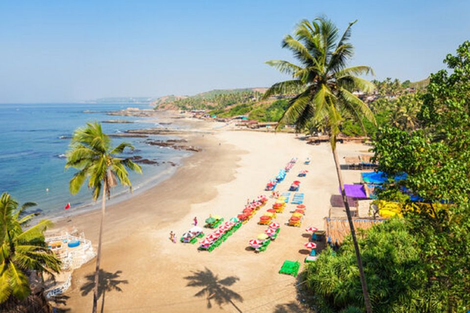 Golden Triangle Tour With Goa 8 Days/7nights - Accommodation Information