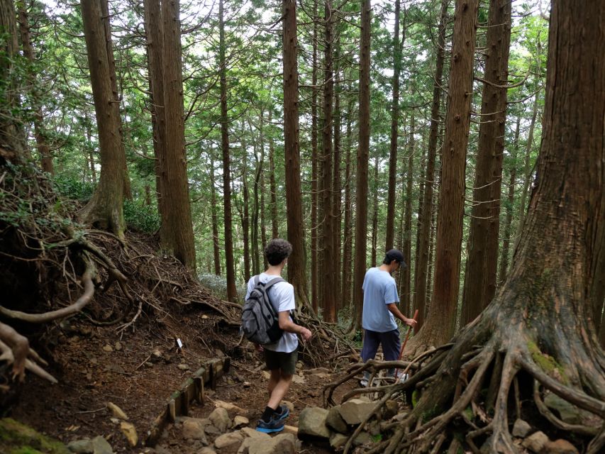 Hakone: Traverse the Hakone Caldera and Enjoy Onsen - Unique Experience