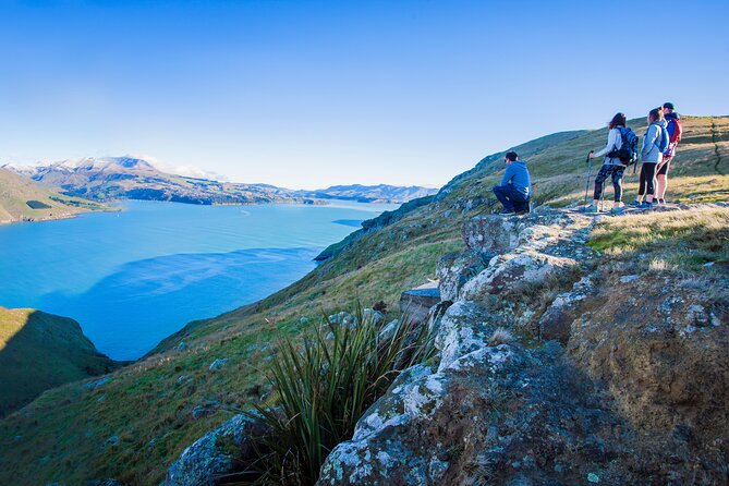 Half Day Guided Walking Tour on Banks Peninsula - Legal and Copyright Details