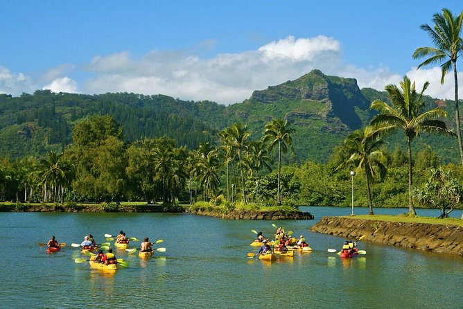 Half-Day Kayak and Waterfall Hike Tour in Kauai With Lunch - Common questions