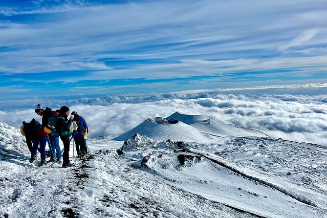 Hike Near the Summit Craters up to the Maximum Safe Altitude Currently Foreseen - Pricing and Booking Information