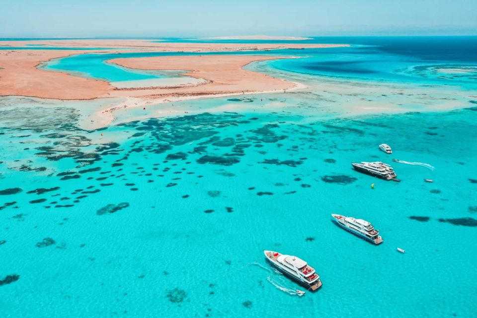 Hurghada: Dolphin Watching Private Yacht & Island Tour - Last Words