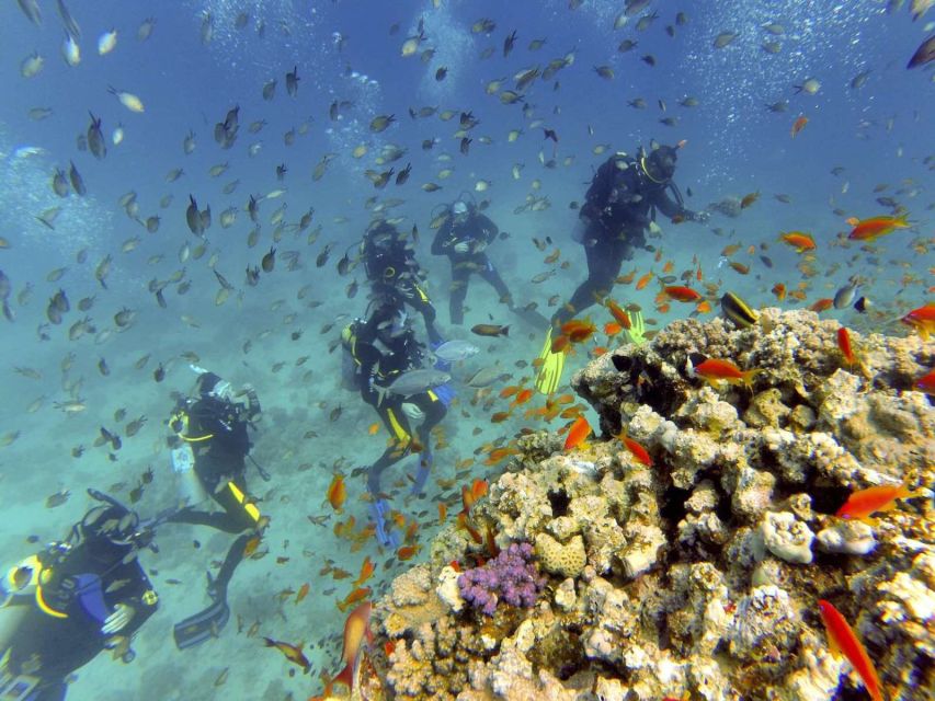 Hurghada: Full-Day Scuba Diving Discovery - Common questions