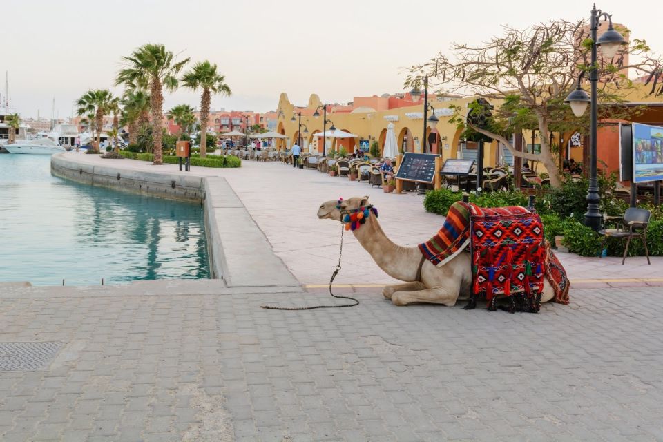 Hurghada: Orange Island Cruise & City Tour With Shopping - Last Words