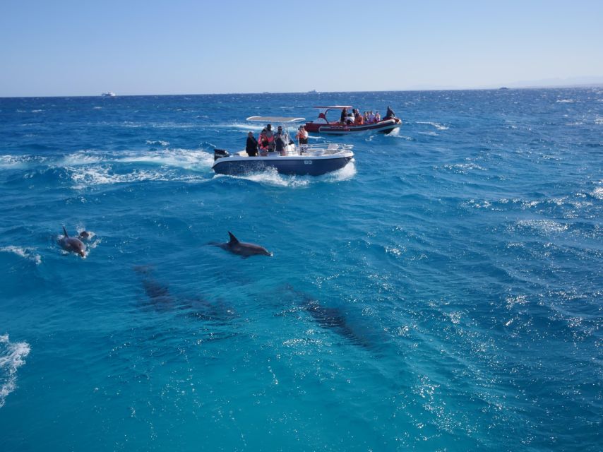 Hurghada: Private Speedboat To Orange & Paradise Island - Last Words
