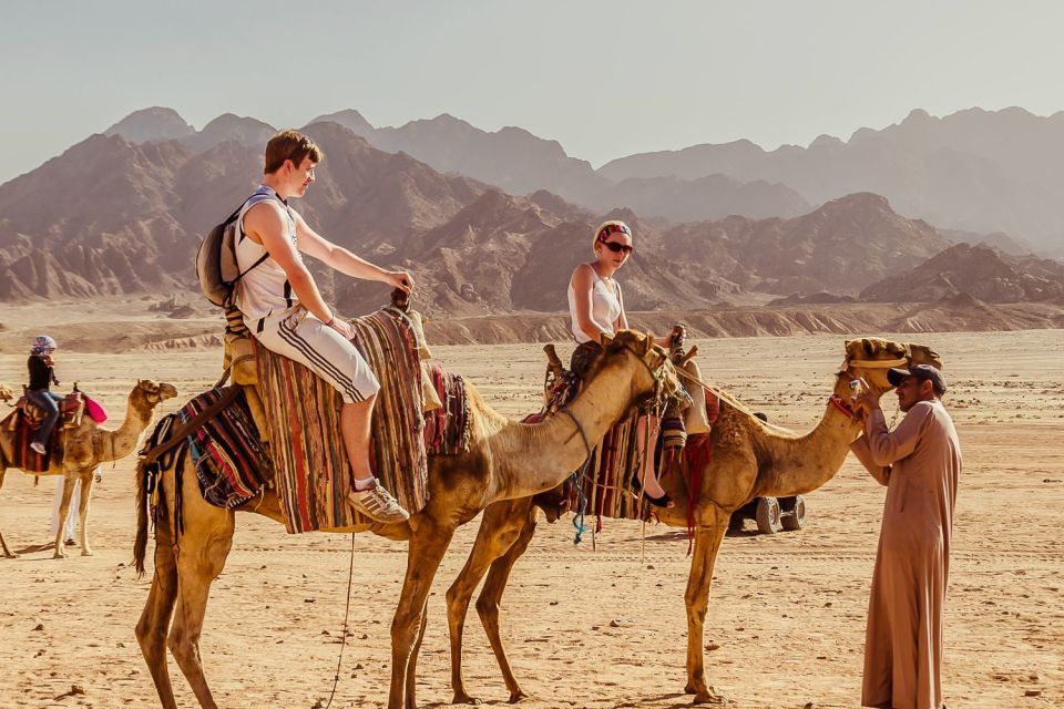 Hurghada: Quad, Jeep, Camel and Buggy Safari With BBQ Dinner - Weight Limit Notice