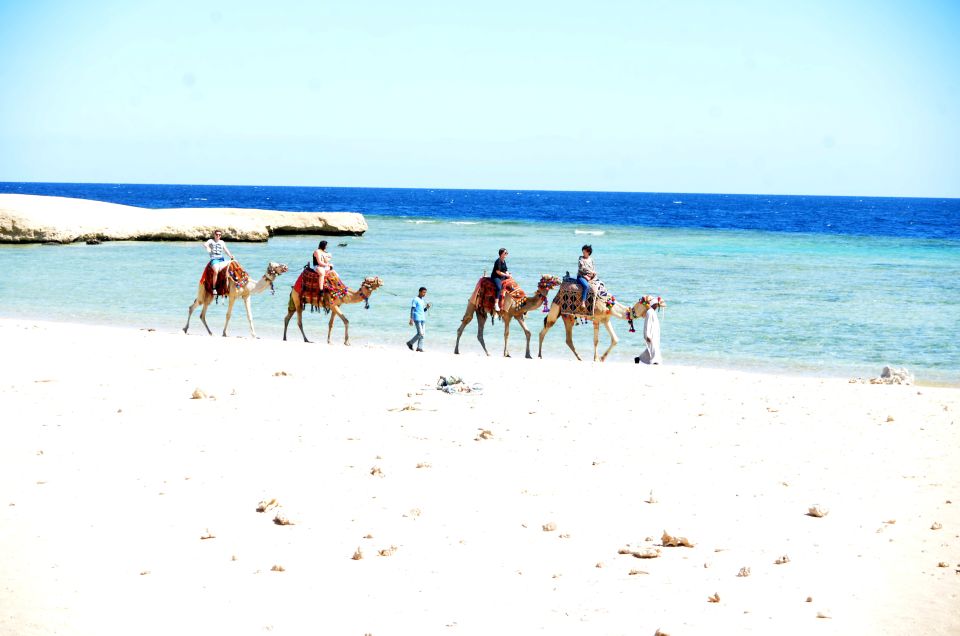Hurghada: Sea & Desert Camel Ride W/Dinner, Show, Stargazing - Last Words