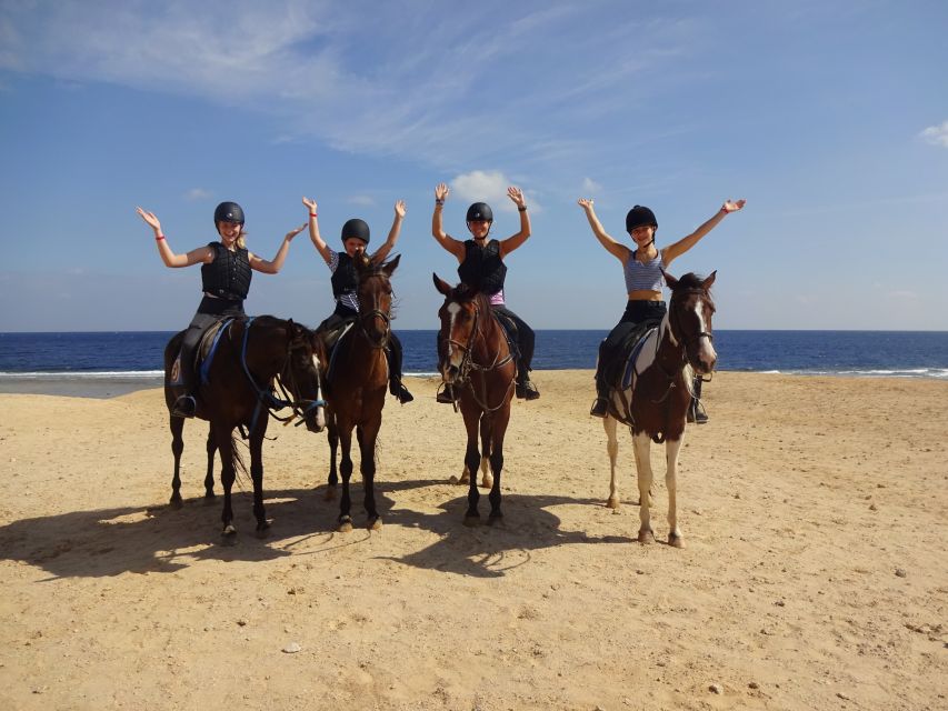 Hurghada: Sea & Desert Horse Tour, Stargazing, Dinner & Show - Overall Experience