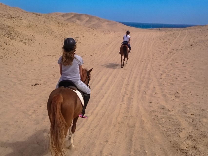Hurghada: Sunset Sea, Desert Horse W Opt, Dinner, Stargazing - Last Words