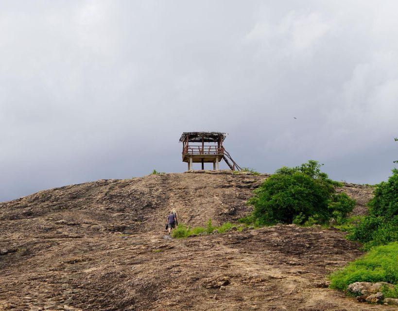 Hurulu Eco Park: Group Half-Day Safari on a Budget - Wildlife Photography Tips