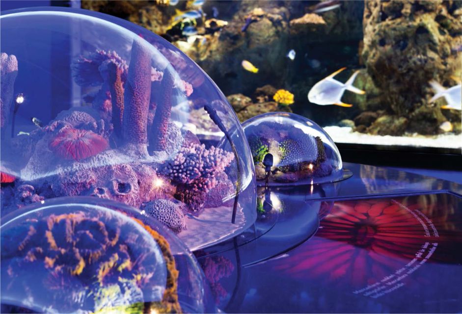 Istanbul Aquarium and Aqua Florya Shopping Mall Tour - Tips for Visitors