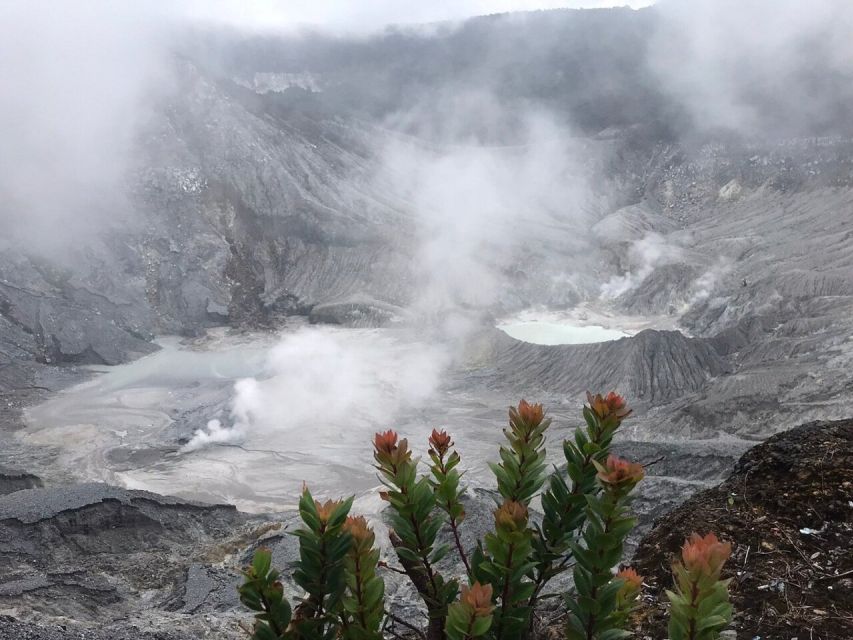 Jakarta: Volcano, Tea/Rice Fields, Hot Spring, Local Food - Booking and Payment Details