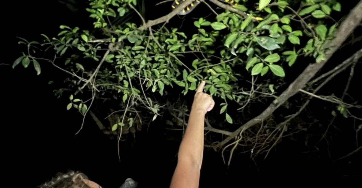 Jungle Night Tour : Finding Snakes and Night Species - Last Words