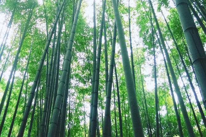 Kamakura Bamboo Forest and Great Buddha Private Tour - Additional Information