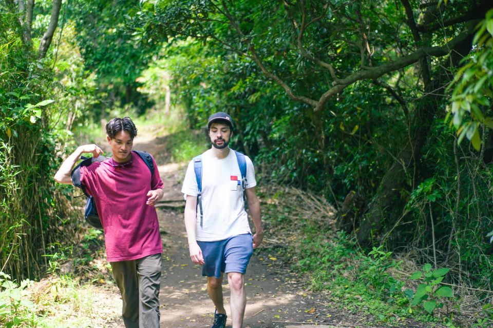 Kamakura Historical Hiking Tour With the Great Buddha - Discover Kamakuras Cultural Treasures