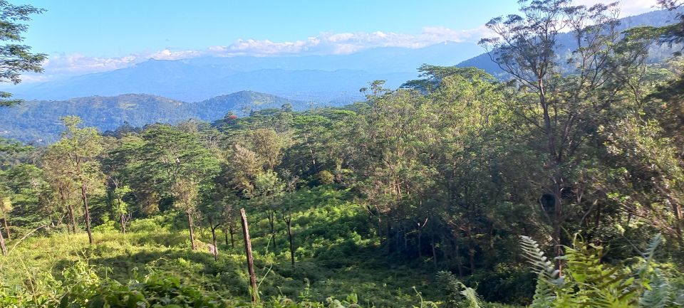 Kandy to Nuwaraeliya 3D Trekking Pekoe Trails Stage 1-2-&-3 - Last Words