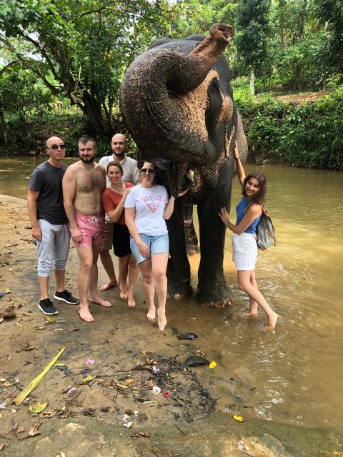 Kandy,Pinnawala and Tea Factory Full Day Tour - Serene Kandy Lake Relaxation