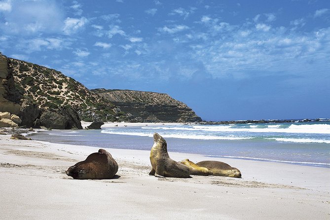 Kangaroo Island Shore Excursion Scenic Trail Tour - Booking and Logistics