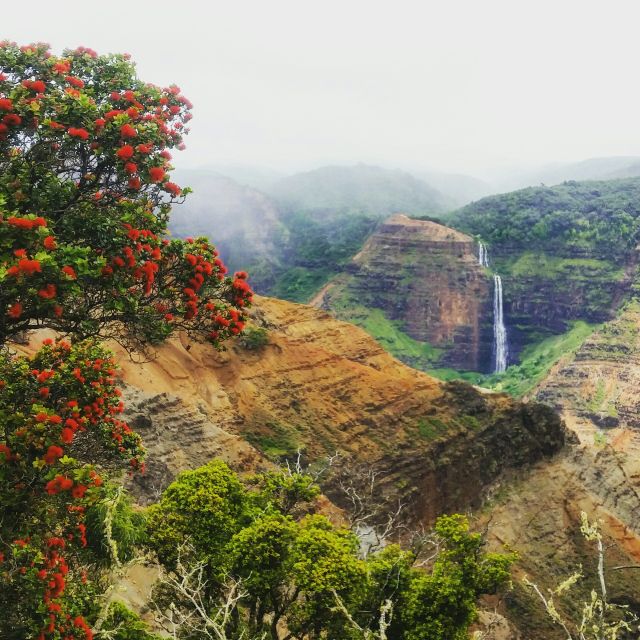 Kauai: Waimea Canyon & Kokeʻe State Park Private Tour - Last Words