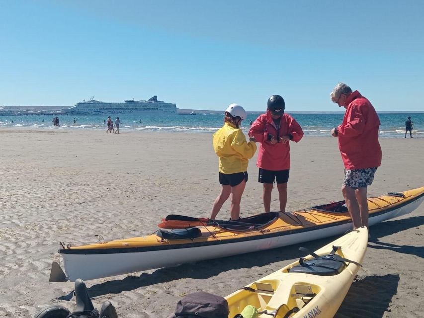 Kayaking Adventure in Puerto Madryn - Common questions