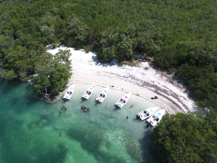 Key West: Eco Safari Tour With Snorkeling - Last Words