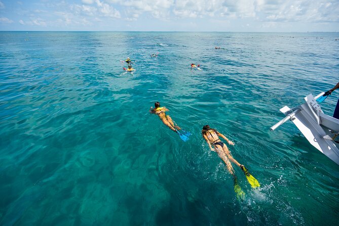 Key West Full-Day Island Ting Eco-Tour: Sail, Kayak and Snorkel - The Wrap Up