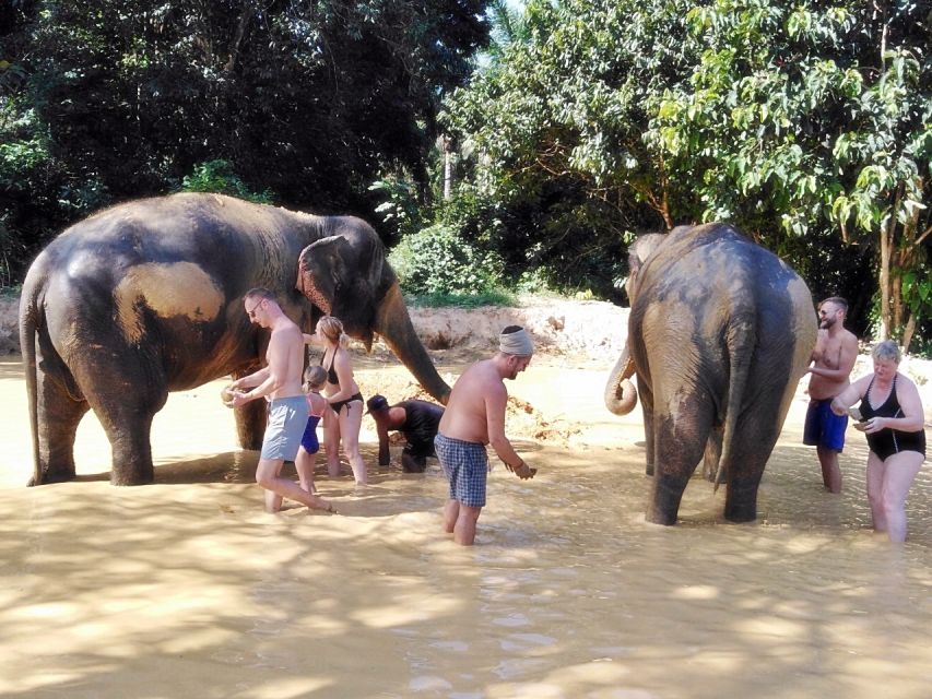 Khao Lak: Khao Sok Private Elephant Daycare & Bamboo Rafting - Common questions