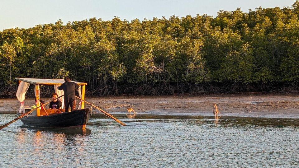 Koh Lanta: Magical Sunrise Tour by Private Boat at Mangroves - Common questions