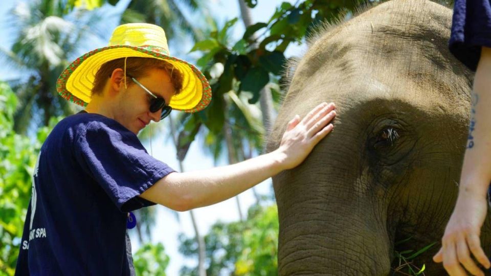 Koh Samui: 4x4 Sightseeing Safari & Elephant Sanctuary Tour - Tour Guide & Sanctuary Feedback