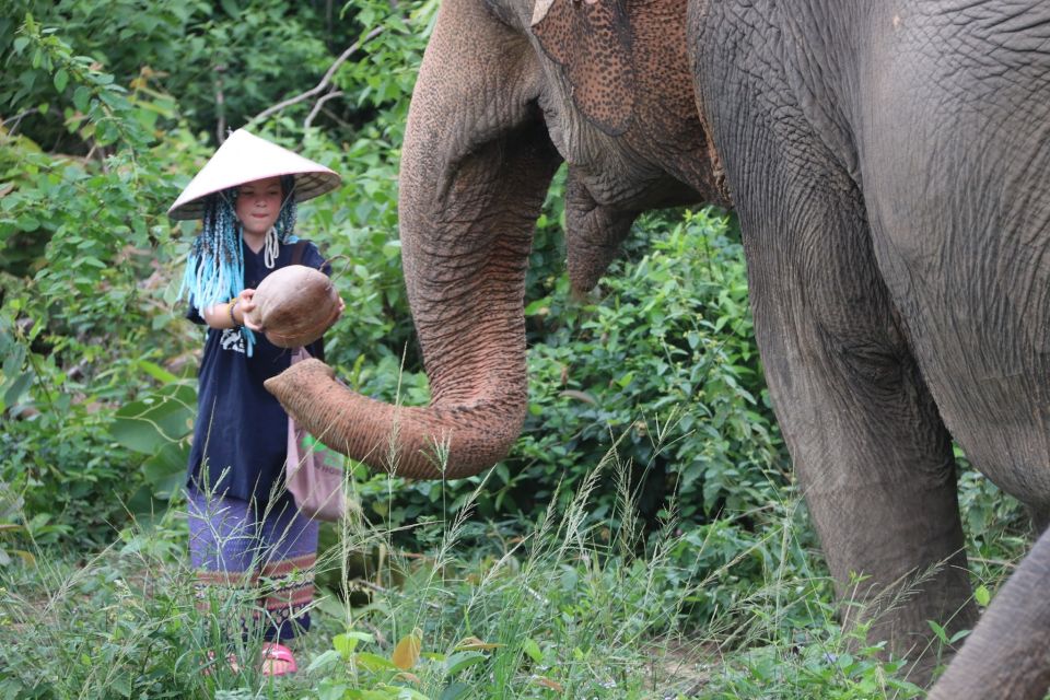 Koh Samui: Ethical Elephant Home Guided Tour With Transfers - Common questions