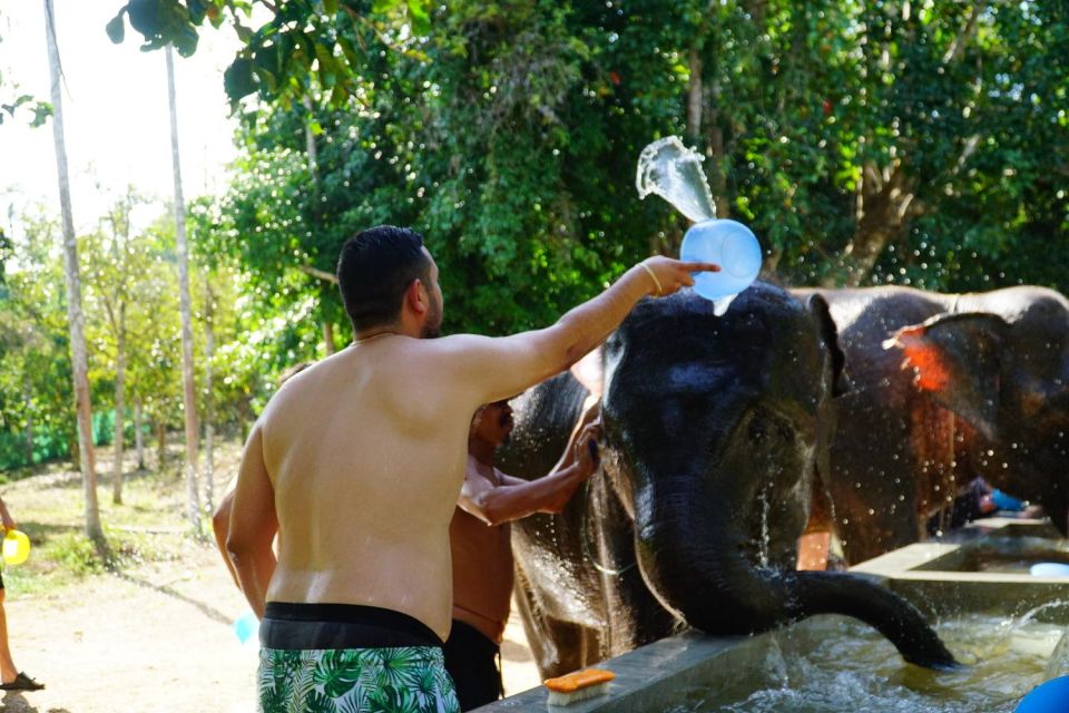 Koh Samui: Half-Day Ethical Elephant Sanctuary With Mud Spa - Tour Guide and Pickup Service