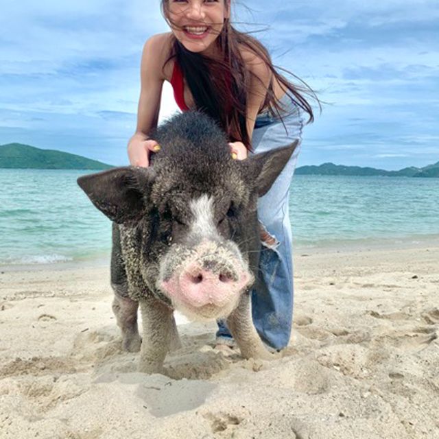 Koh Samui: Pig Island Tour by Speedboat With Snorkeling - Common questions