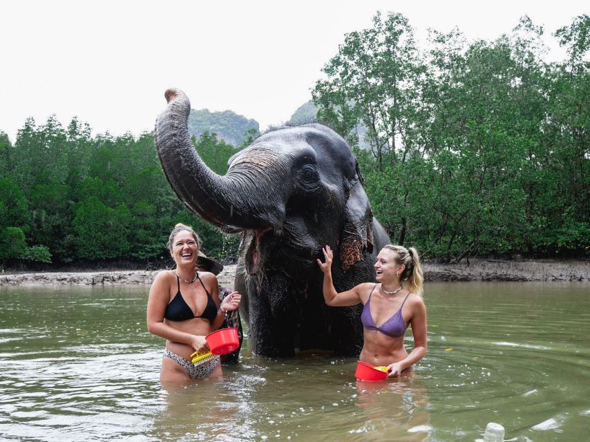 Krabi: Elephant Bathing Session at Krabi Elephant Shelter - Last Words