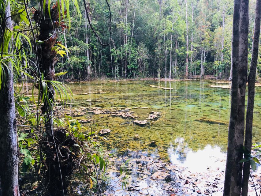 Krabi: Emerald Pool and Hot Springs Waterfall Half-Day Trip - Serene Walk and Relaxation