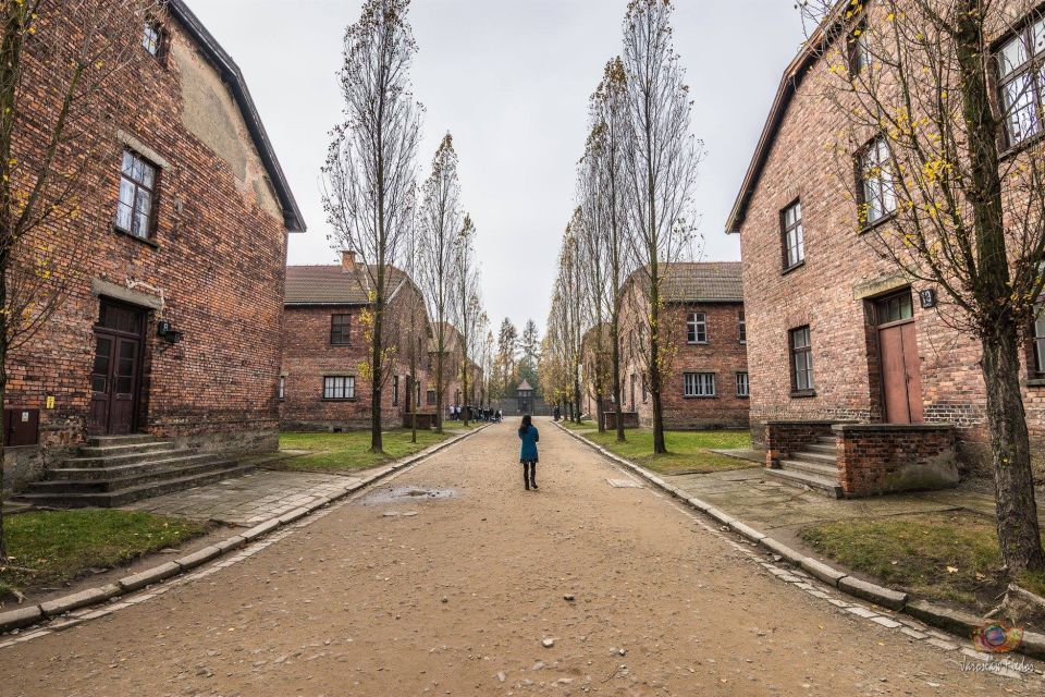 Krakow: Auschwitz-Birkenau Extended Guided Tour & Options - Common questions