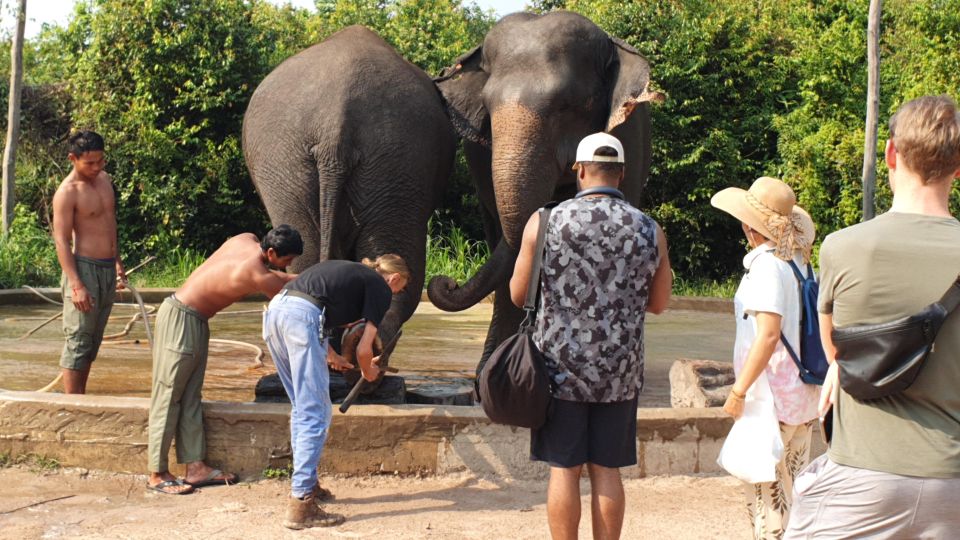 Kulen Elephant Forest & Tonlesap Lake - Last Words