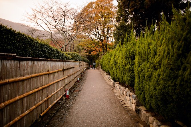 Kyoto Bamboo Forest Electric Bike Tour - Off-the-Beaten-Path Locations