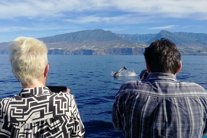 La Palma Dolphin and Whale Cruise - Common questions