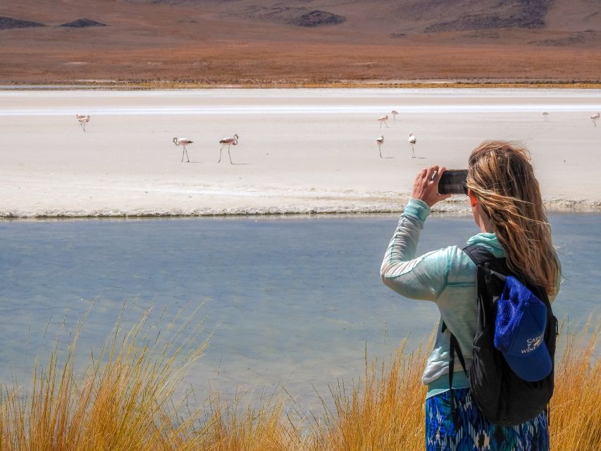 La Paz: Uyuni Salt Flats & Isla Incahuasi 5-Day Bus Tour - Customer Reviews