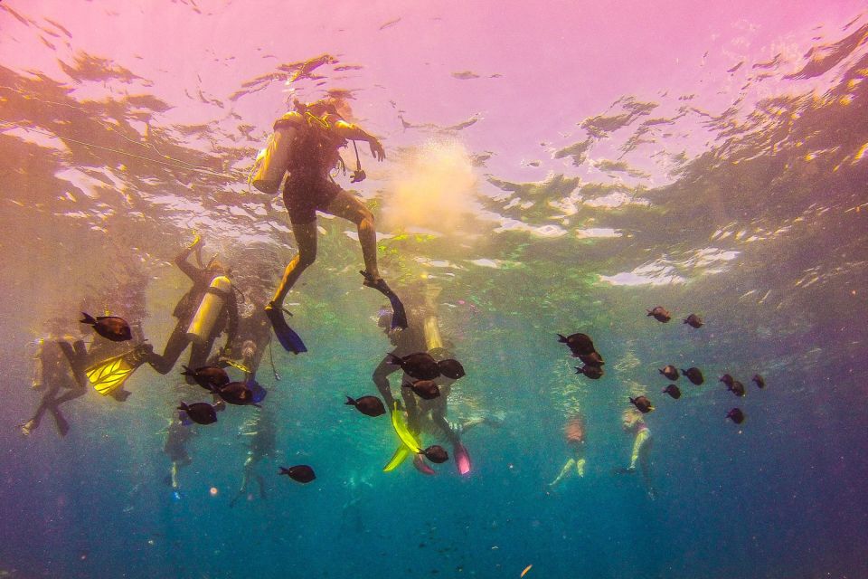 La Romana: Catalina Island Full-Day Snorkeling Tour - Common questions